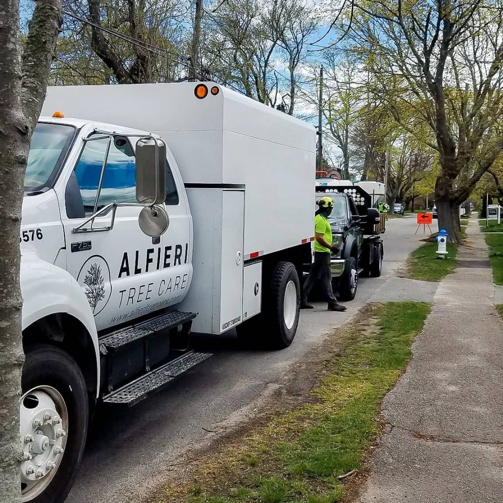 180539286_1229154334171944_5312384153697749345_n