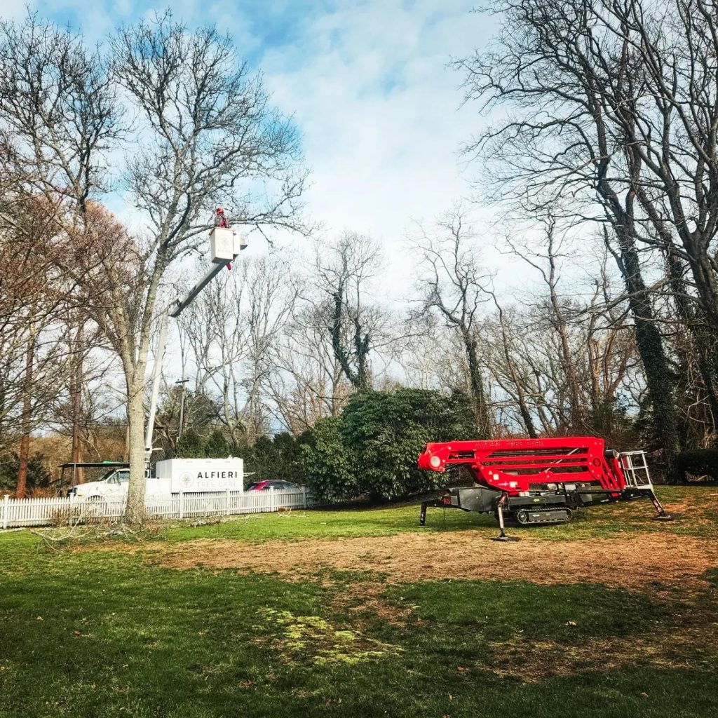 324669885_1308484119734707_1030452669913101851_n